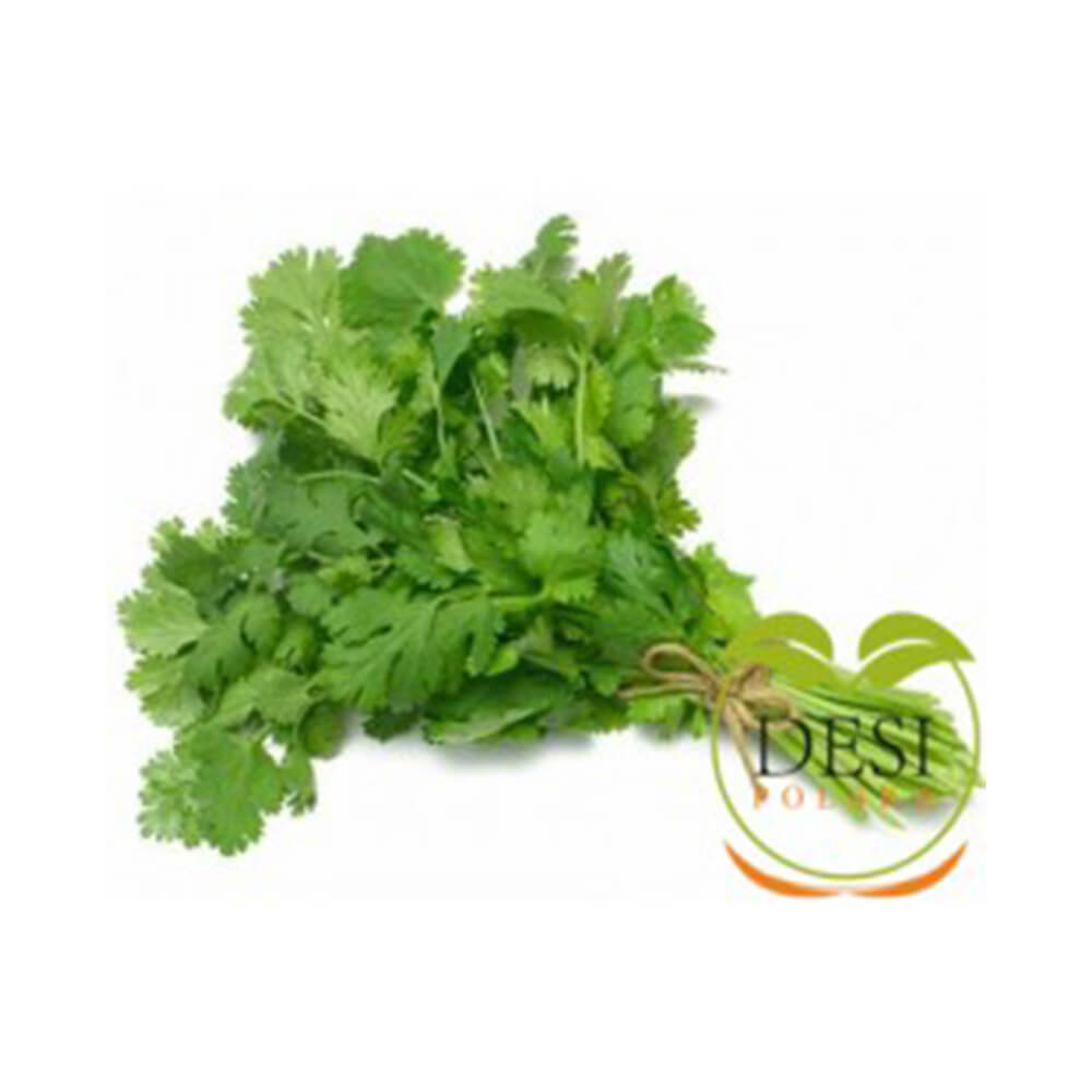 Coriander / Dhania